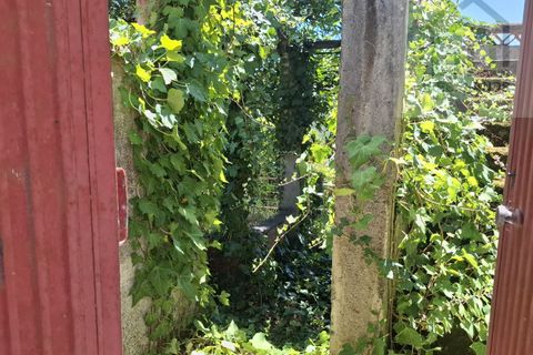 Villa i Arganil, Coimbra, Arganil - € 56.000 | Ref: 660 - foto 15