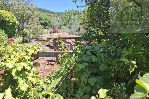 Villa i Arganil, Coimbra, Arganil - € 56.000 | Ref: 660 - foto 16