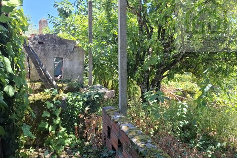 Villa i Arganil, Coimbra, Arganil - € 56.000 | Ref: 660 - foto 17