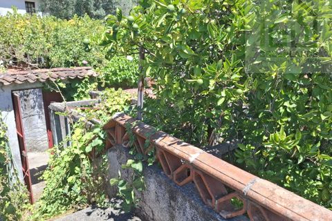 Villa i Arganil, Coimbra, Arganil - € 56.000 | Ref: 660 - foto 39