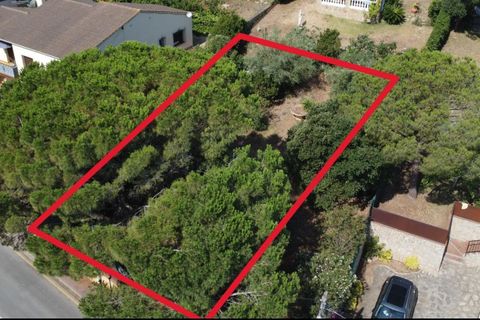 Villa i Calonge, Gerona, Calonge - € 1.600.000 | Ref: 2861/12898 - foto 15