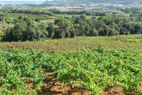Helårsgrund i Calonge, Gerona, Calonge - € 115.000 | Ref: 2969/12898 - foto 13