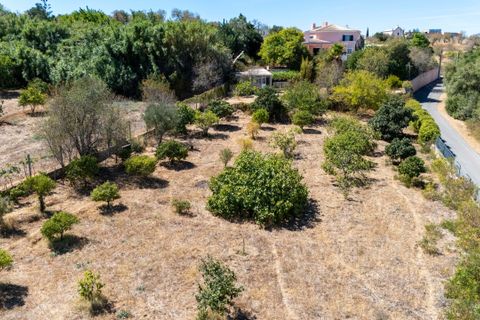 Villa i Lagoa, Faro, Lagoa - € 1.900.000 | Ref: GZW U8E - foto 41
