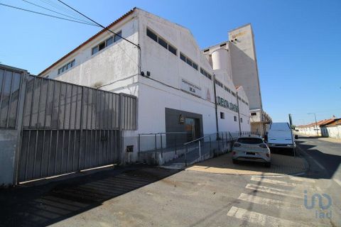 Erhvervsejendom i Beja, Beja, Beja - € 980.000 | Ref: 145109 - foto 2