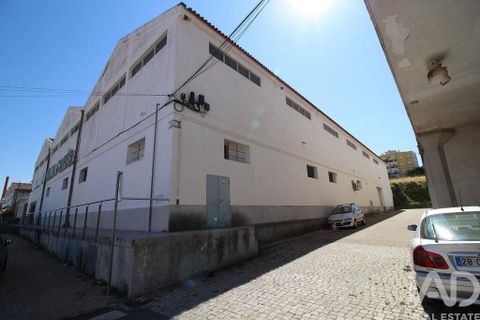 Erhvervsejendom i Beja, Beja, Beja - € 980.000 | Ref: 145109 - foto 29