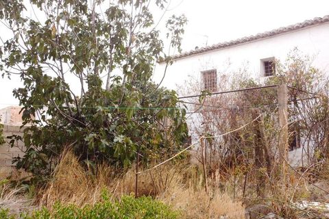 Landejendom i Caniles, Granada, Caniles - € 100.000 | Ref: v3042 - foto 24
