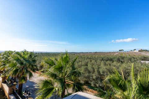 Finca i Puntiro, Mallorca, Puntiro - € 2.950.000 | Ref: 68268 - foto 20