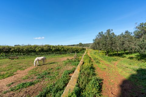 Finca i Puntiro, Mallorca, Puntiro - € 2.950.000 | Ref: 68268 - foto 23