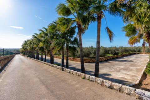Finca i Puntiro, Mallorca, Puntiro - € 2.950.000 | Ref: 68268 - foto 24