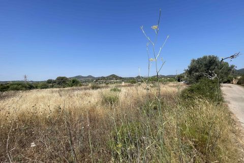 Helårsgrund i Son Servera, Mallorca, Son Servera - € 850.000 | Ref: 81934 - foto 5