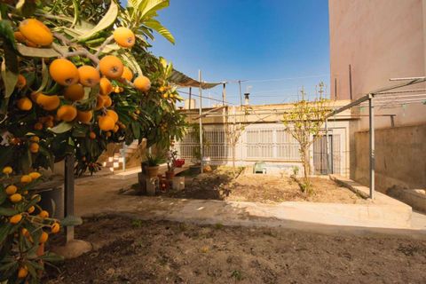 Villa i Benijofar, Alicante, Benijofar - € 209.000 | Ref: 164-315-11-609 - foto 23