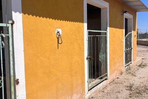 Villa i Daya Nueva, Alicante, Daya Nueva - € 529.000 | Ref: 193-454-11-913 - foto 30
