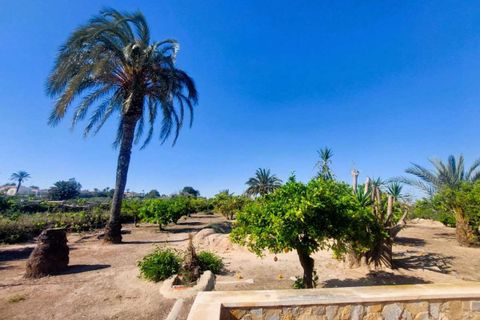 Villa a La Marina, Alicante, La Marina - € 539.000 | Ref: 237-401-11-798 - foto 10