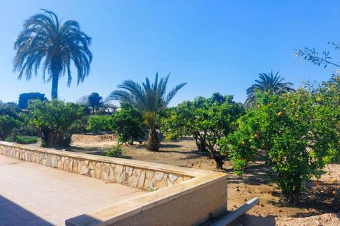 Villa a La Marina, Alicante, La Marina - € 539.000 | Ref: 237-401-11-798 - foto 11