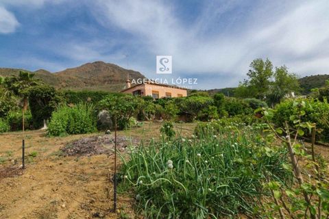 Villa i Estepona, Malaga, Estepona - € 795.000 | Ref: 1010 - foto 36
