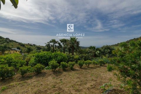 Villa i Estepona, Malaga, Estepona - € 795.000 | Ref: 1010 - foto 37