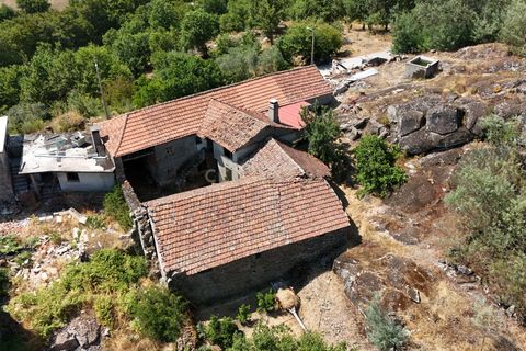 Farm hus i Satao, Viseu, Satao - € 80.000 | Ref: C0203-02495 - foto 4