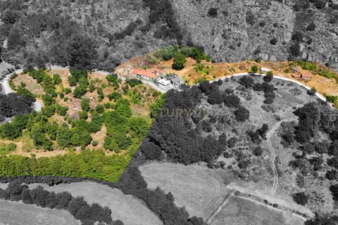 Farm hus i Satao, Viseu, Satao - € 80.000 | Ref: C0203-02495 - foto 5