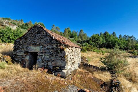 Farm hus i Satao, Viseu, Satao - € 80.000 | Ref: C0203-02495 - foto 10