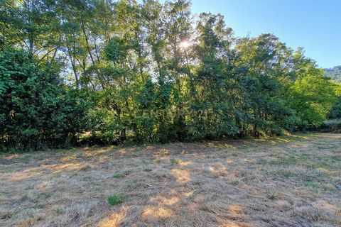 Farm hus i Satao, Viseu, Satao - € 80.000 | Ref: C0203-02495 - foto 12