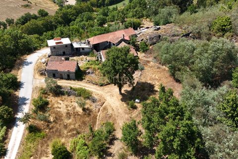 Farm hus i Satao, Viseu, Satao - € 80.000 | Ref: C0203-02495 - foto 16