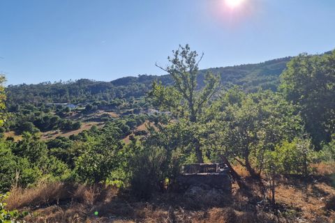 Farm hus i Satao, Viseu, Satao - € 80.000 | Ref: C0203-02495 - foto 17