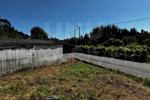 Helårsgrund i Gandra e Taiao, Viana do Castelo, Gandra e Taiao - € 55.000 | Ref: UNU-F1-03-97 - foto 3