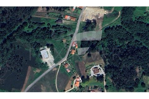 Helårsgrund i Gandra e Taiao, Viana do Castelo, Gandra e Taiao - € 55.000 | Ref: UNU-F1-03-97 - foto 4
