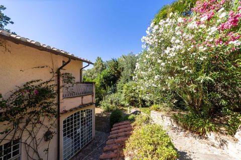 Villa a Monte Argentario, Grosseto, Monte Argentario - € 20.000/mes | Ref: 44 - foto 29