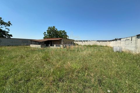 Helårsgrund i Capua, Caserta, Capua - € 115.000 | Ref: 115terr - foto 9