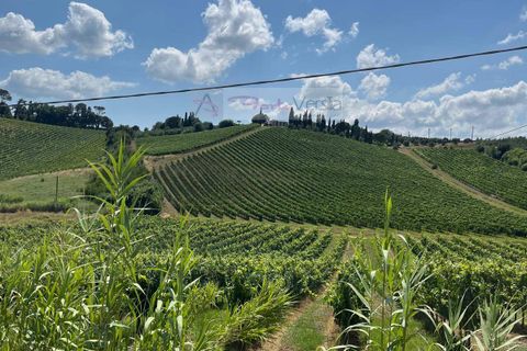 Terra a Vinci, Florence, Vinci - € 95.000 | Ref: 2827 - foto 8