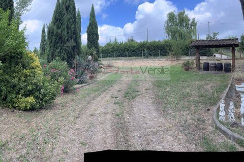 Terra a Vinci, Florence, Vinci - € 95.000 | Ref: 2827 - foto 9