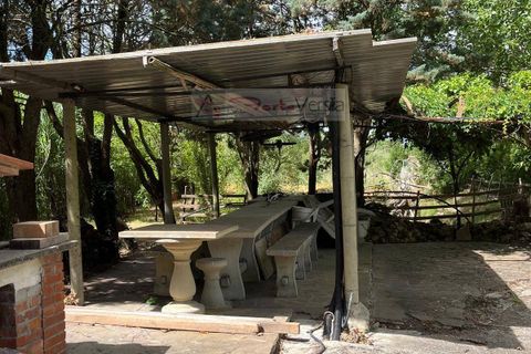 Terra a Vinci, Florence, Vinci - € 95.000 | Ref: 2827 - foto 13