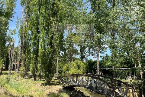 Terra a Vinci, Florence, Vinci - € 95.000 | Ref: 2827 - foto 16