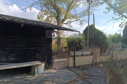 Terra a Vinci, Florence, Vinci - € 95.000 | Ref: 2827 - foto 6