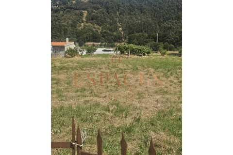 Helårsgrund i Caminha, Viana do Castelo, Caminha - € 400.000 | Ref: 016-PAR_35 - foto 3
