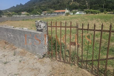 Helårsgrund i Caminha, Viana do Castelo, Caminha - € 400.000 | Ref: 016-PAR_35 - foto 4