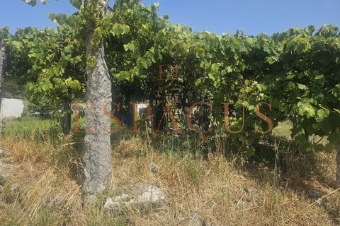 Helårsgrund i Caminha, Viana do Castelo, Caminha - € 400.000 | Ref: 016-PAR_35 - foto 5