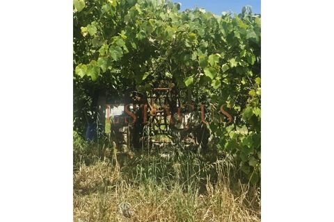 Helårsgrund i Caminha, Viana do Castelo, Caminha - € 400.000 | Ref: 016-PAR_35 - foto 6