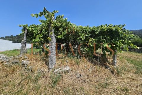 Helårsgrund i Caminha, Viana do Castelo, Caminha - € 400.000 | Ref: 016-PAR_35 - foto 7