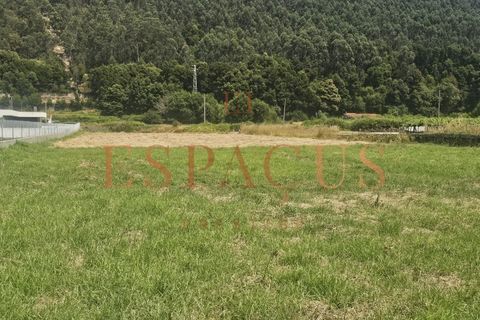 Helårsgrund i Caminha, Viana do Castelo, Caminha - € 400.000 | Ref: 016-PAR_35 - foto 9