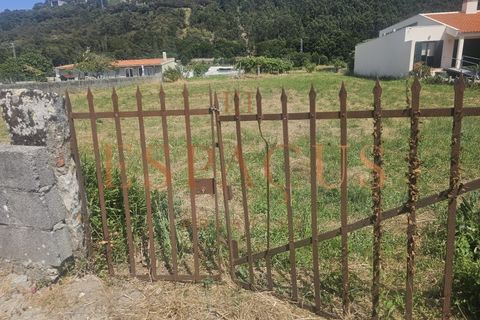 Helårsgrund i Caminha, Viana do Castelo, Caminha - € 400.000 | Ref: 016-PAR_35 - foto 10