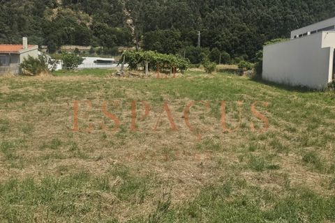Helårsgrund i Caminha, Viana do Castelo, Caminha - € 400.000 | Ref: 016-PAR_35 - foto 11