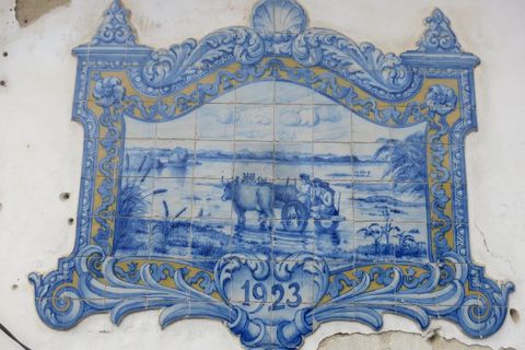 Villa i Aveiro, Aveiro, Aveiro - € 390.000 | Ref: MO1132 - foto 11