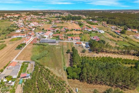 Tomt i Monte Real, Leiria, Monte Real - € 46 000 | Ref: KWPT-018067 - foto 2