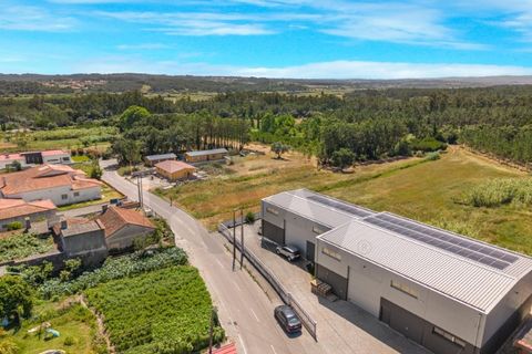 Tomt i Monte Real, Leiria, Monte Real - € 46 000 | Ref: KWPT-018067 - foto 3
