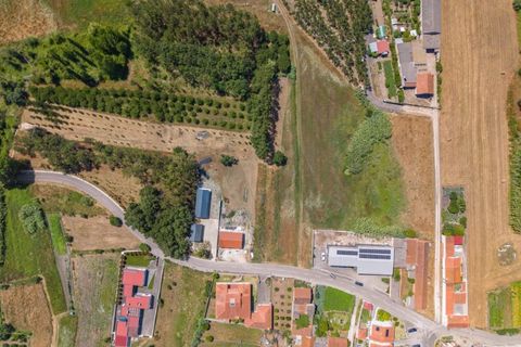 Tomt i Monte Real, Leiria, Monte Real - € 46 000 | Ref: KWPT-018067 - foto 4