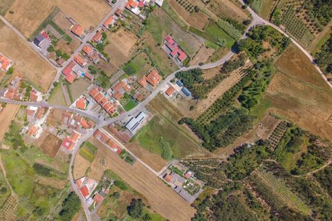 Tomt i Monte Real, Leiria, Monte Real - € 46 000 | Ref: KWPT-018067 - foto 5