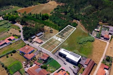 Tomt i Monte Real, Leiria, Monte Real - € 46 000 | Ref: KWPT-018067 - foto 6