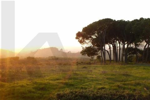 Helårsgrund i Obidos, Leiria, Obidos - € 70.000 | Ref: KWPT-018926 - foto 12